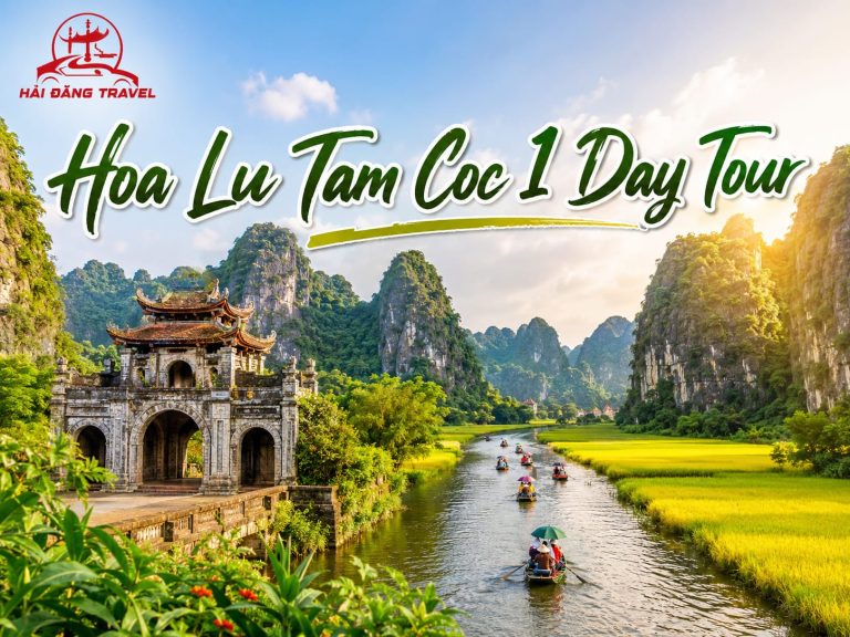 Tour Hoa Lư Tam Cốc 1 ngày