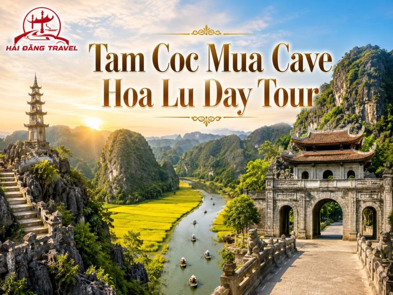 Tour Tam Cốc Hang Múa Hoa Lư 1 ngày